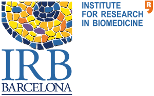 Institut de Recerca Biomèdica (IRB Barcelona)