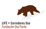 Life oso pardo