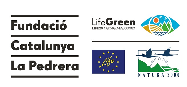 lifegreen