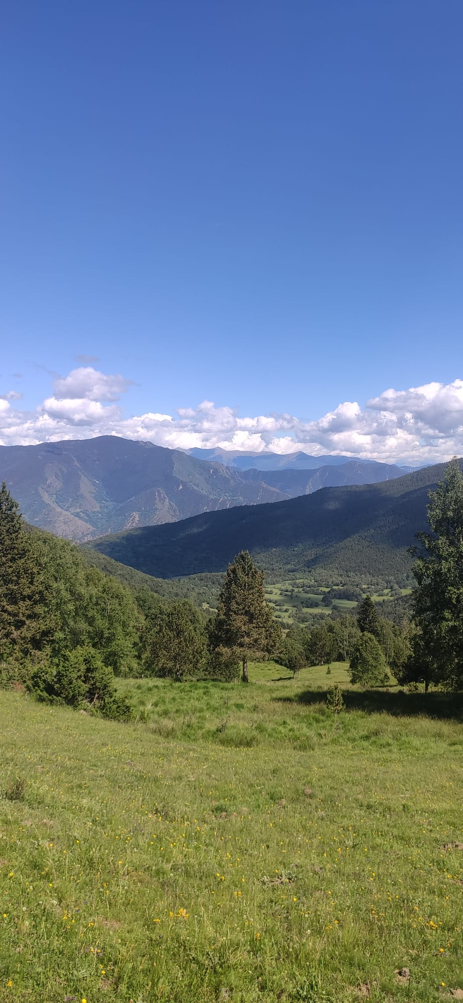 Les muntanyes que han acollit Joves i Ciència