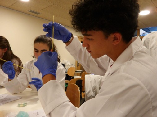 Participants de BioMol al laboratori