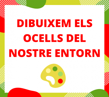 Dibuixem els ocells del nostre entorn