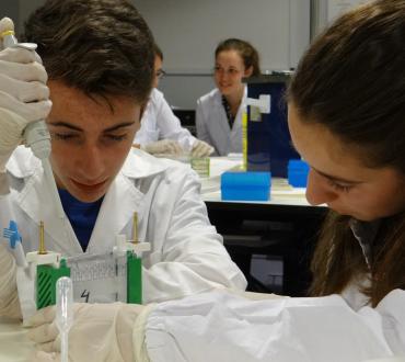 carregant gel electroforesi