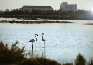 Nova temporada a MónNatura Delta