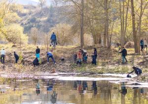 voluntariat basses de gallisa