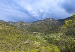 gestion forestal sostenible en alinya