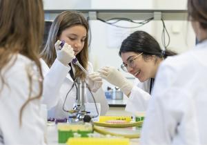 Programas ciencia fclp