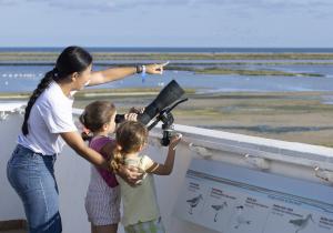 Delta Birding Festival