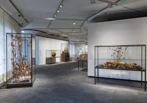 expo-kiefer-pedrera