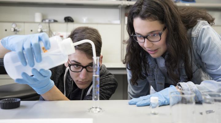 bojos per la ciència laboratori