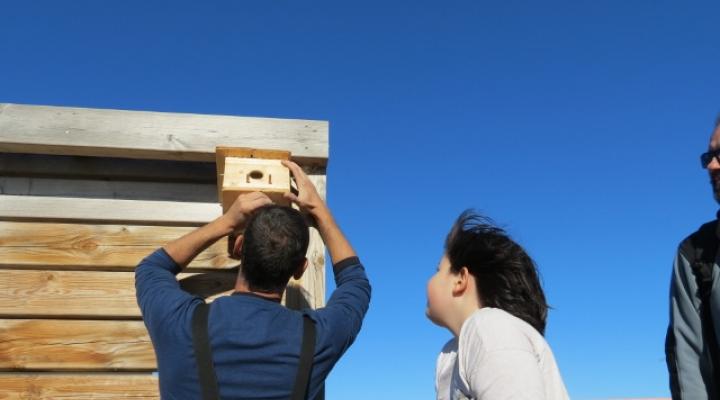 volunteer-nest-boxes-tavertet