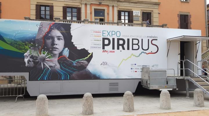 Piribus Fundación
