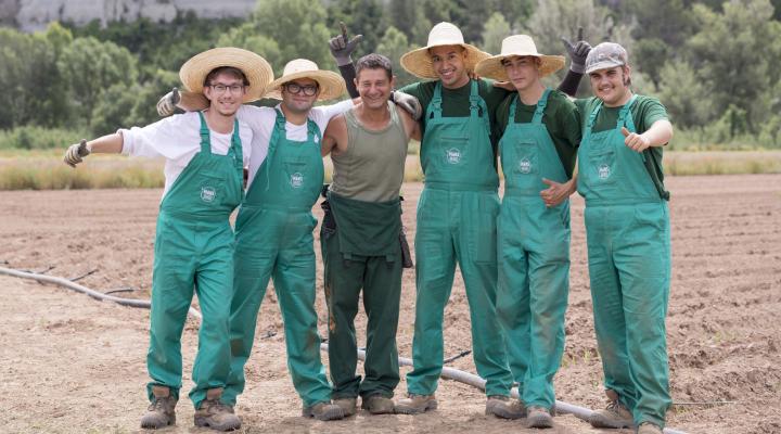 Programa d’inserció de joves