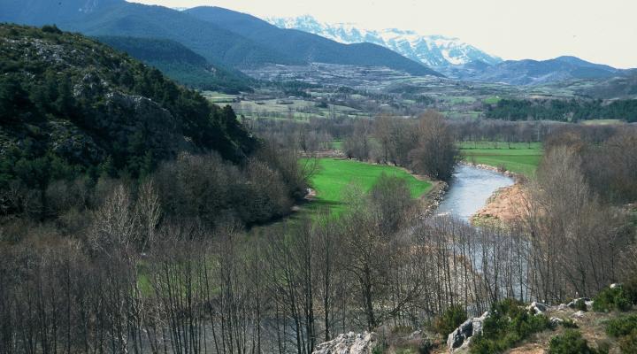 Alt Segre