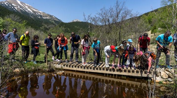 Educació ambiental