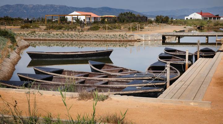 Session at MónNatura Delta de l’Ebre and Alfacada