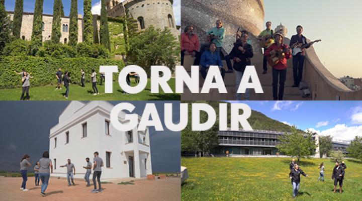 torna gaudir