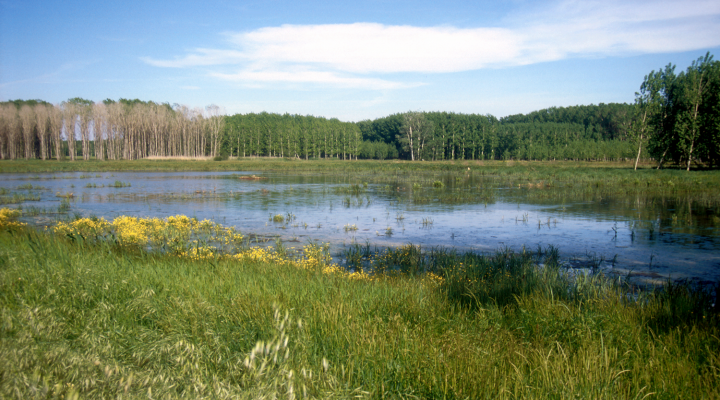 estany