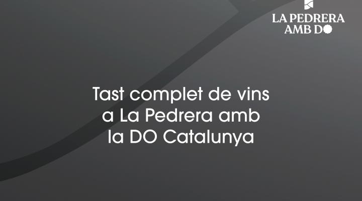 Tast complet de vins amb la DO Catalunya