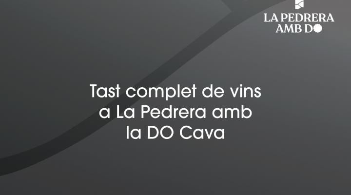 Tast complet de vins amb la DO Cava