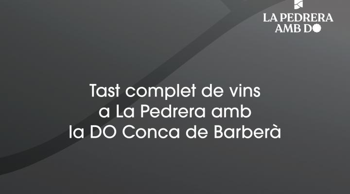 Tast complet de vins amb la DO Conca de Barberà 