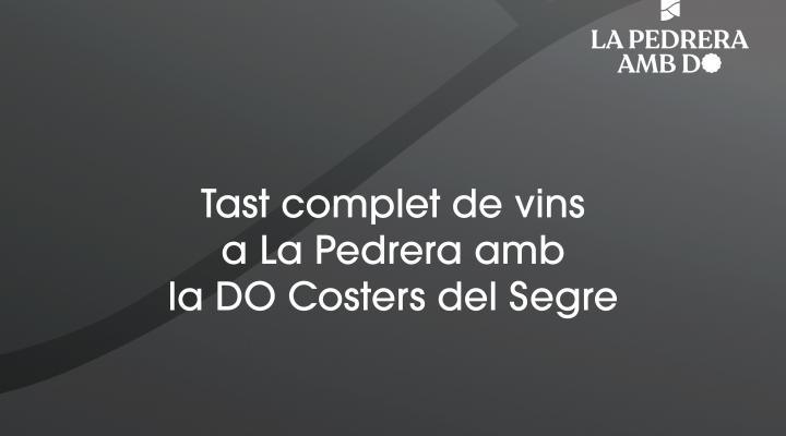 Tast complet de vins amb la DO Costers del Segre