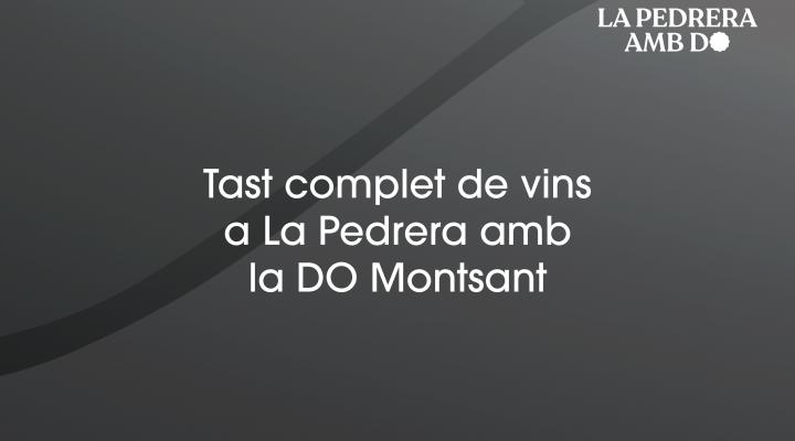 Tast complet de vins amb la DO Montsant