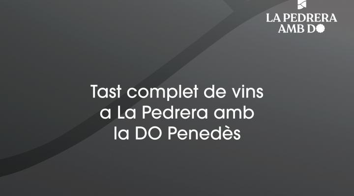 Tast complet de vins amb la DO Penedès