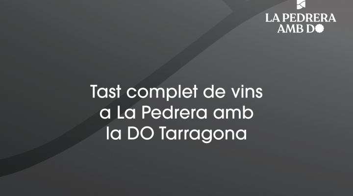 Tast complet de vins amb la DO Tarragona