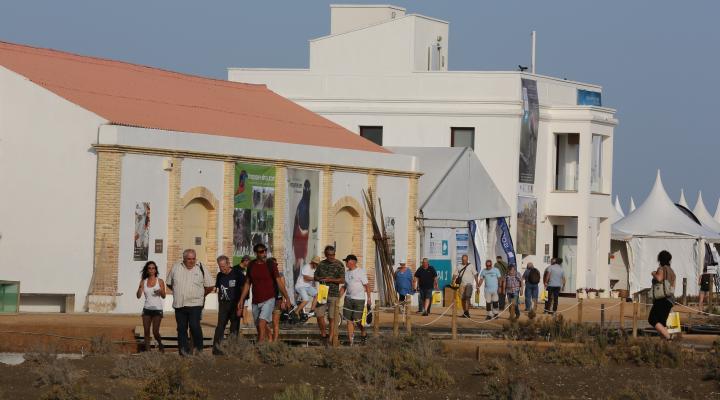 Delta Birding Festival