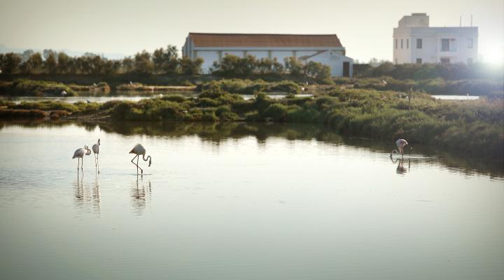MónNatura Delta del Ebro