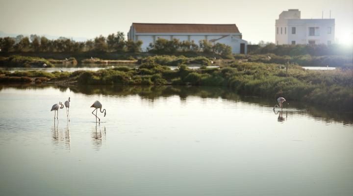 MónNatura Delta de l'Ebre