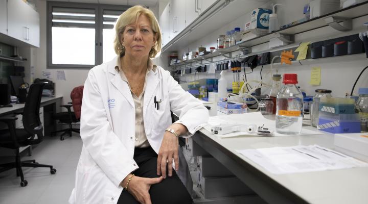 Enriqueta Felip guanyadora premi Vanguardia de la Ciencia 2022