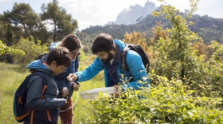 Bioblitz en Món Sant Benet