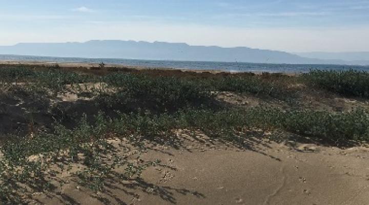 Lo Trabucador, una playa diferente