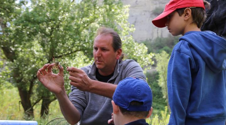 Bioblitz en Món Sant Benet