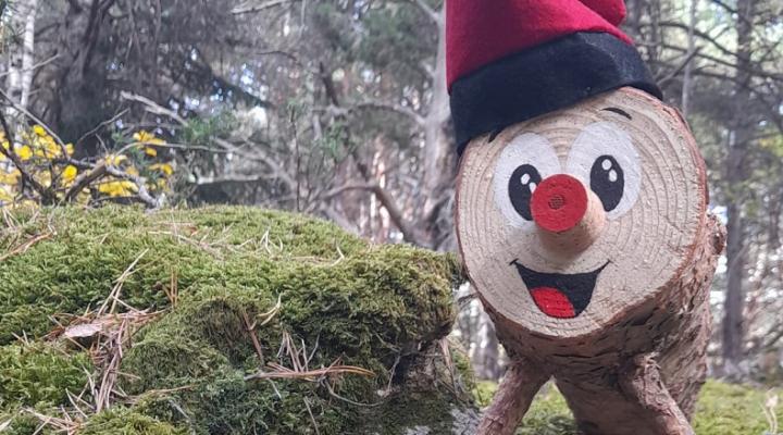 La Tronca de Nadal a MónNatura Pirineus