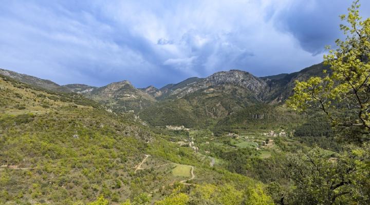 gestion forestal sostenible en alinya
