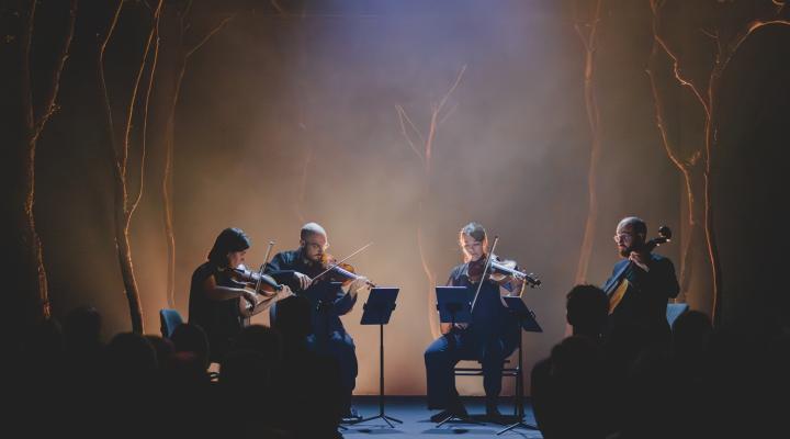 quartet-cosmos-liceu