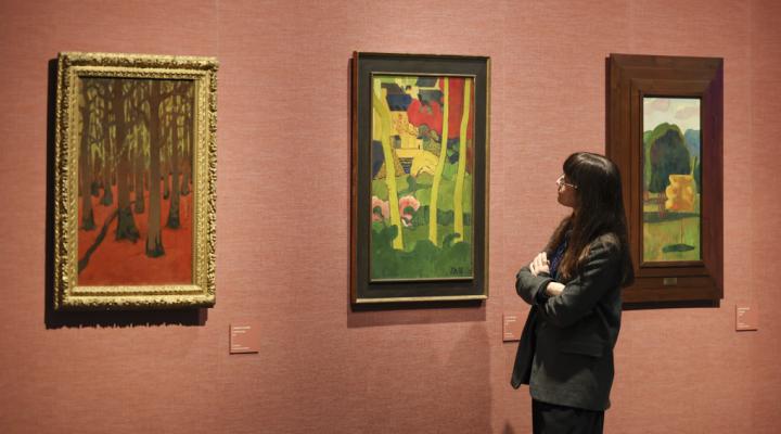 nabis-ultims-dies-expo-pedrera