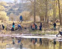 voluntariat basses de gallisa