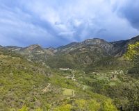 gestio forestal sostenible a alinya