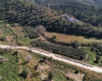 bancales olivos collserola