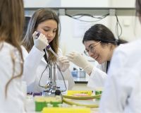 Programes ciència fclp