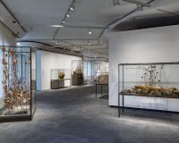 expo-kiefer-pedrera