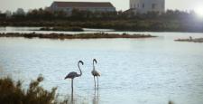 MónNatura Delta de l'Ebre