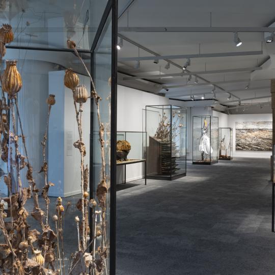 kiefer-exposicion-fclp