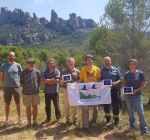 Nuevo modelo de gestión forestal que reduce el riesgo de incendios