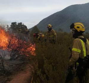 controlled burning