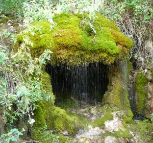 Camino de l’Aiguaneix